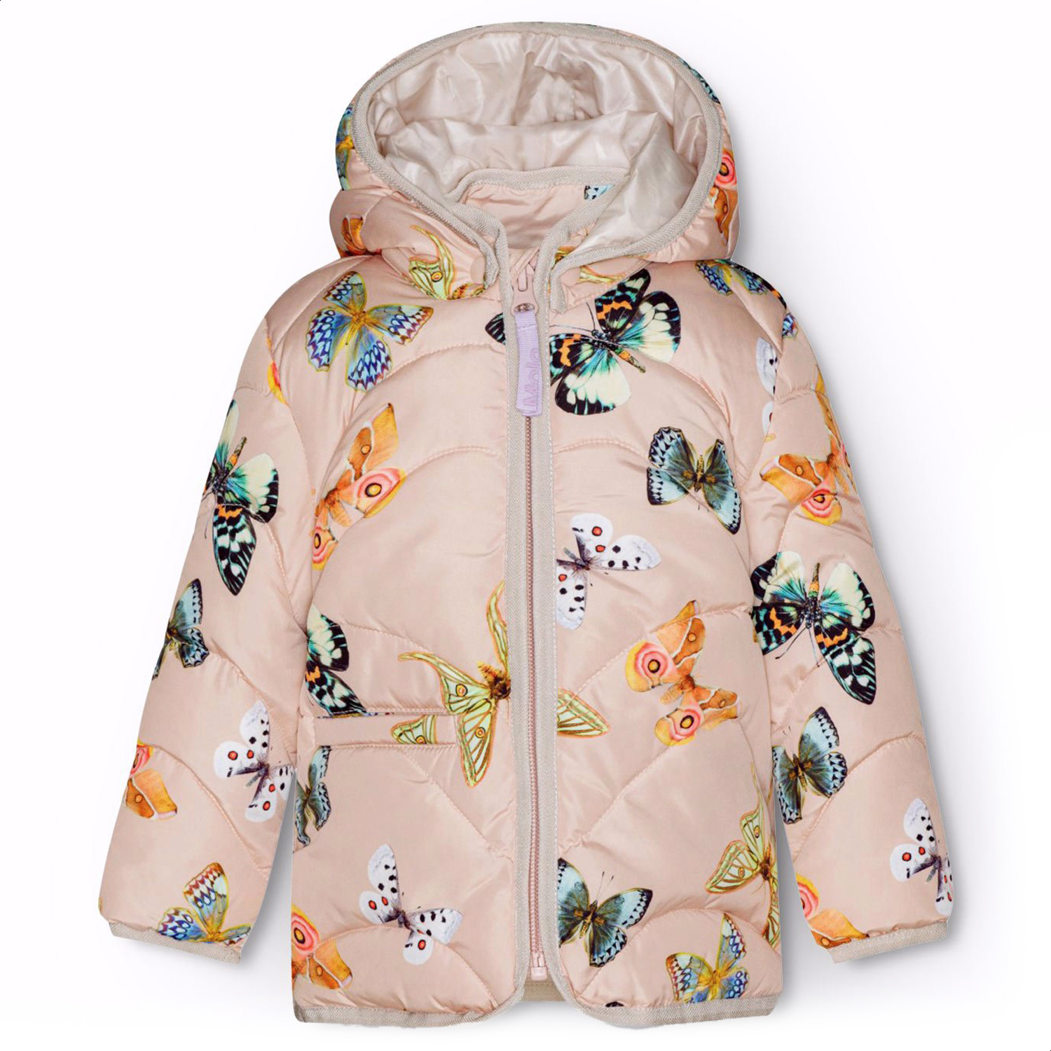 Harmony - Blush Papillions