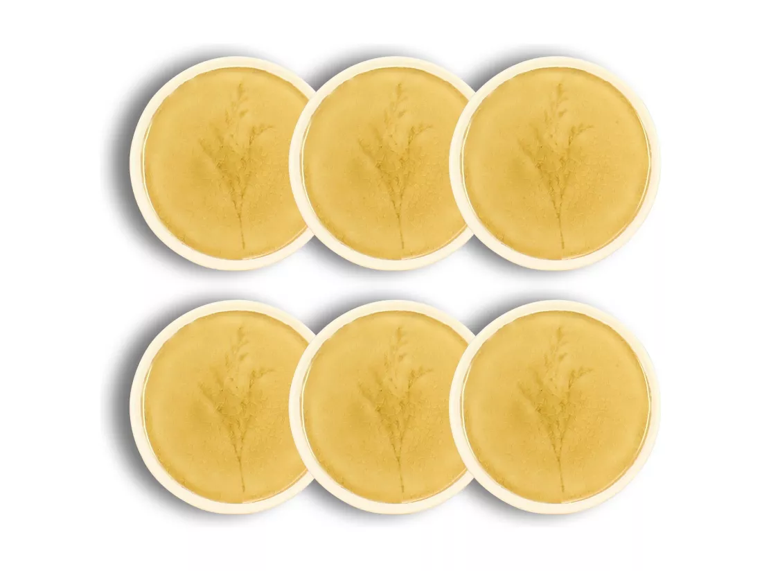 Ogo Living - Lot 6 Assiettes A Pain Fle 13.5cm En Gres Moutarde