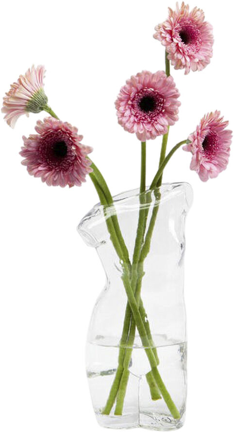Doiy Vase - Body - Glas - Transparent Transparent