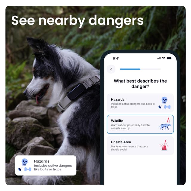 Tractive Dog 6 GPS-tracker (sort)
