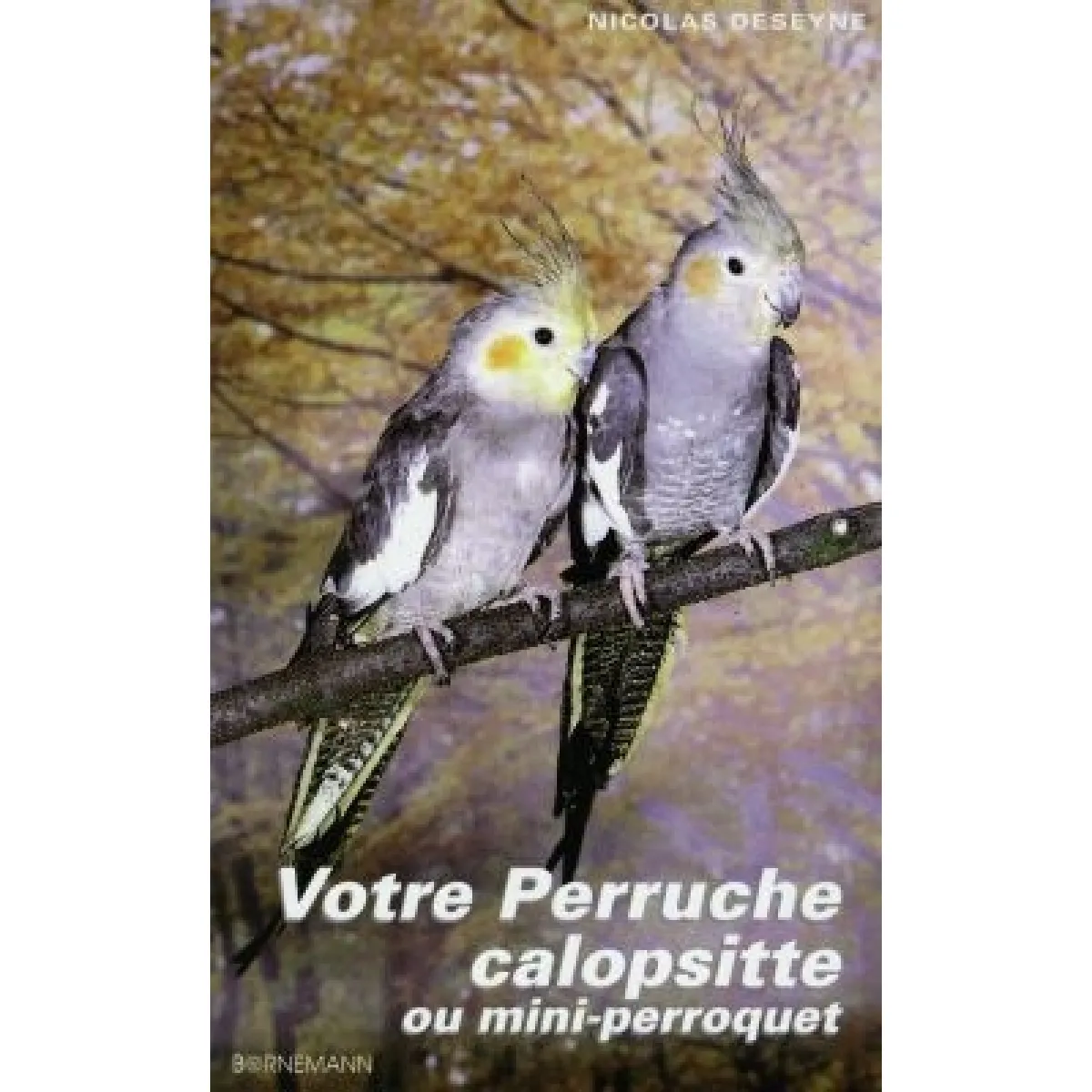 Votre perruche calopsitte ou mini-perroquet · Occasion