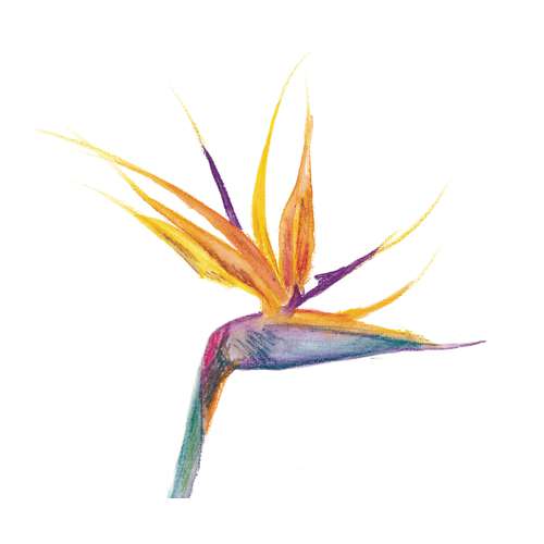 Schut Aquarellblock / Aquarellkarton