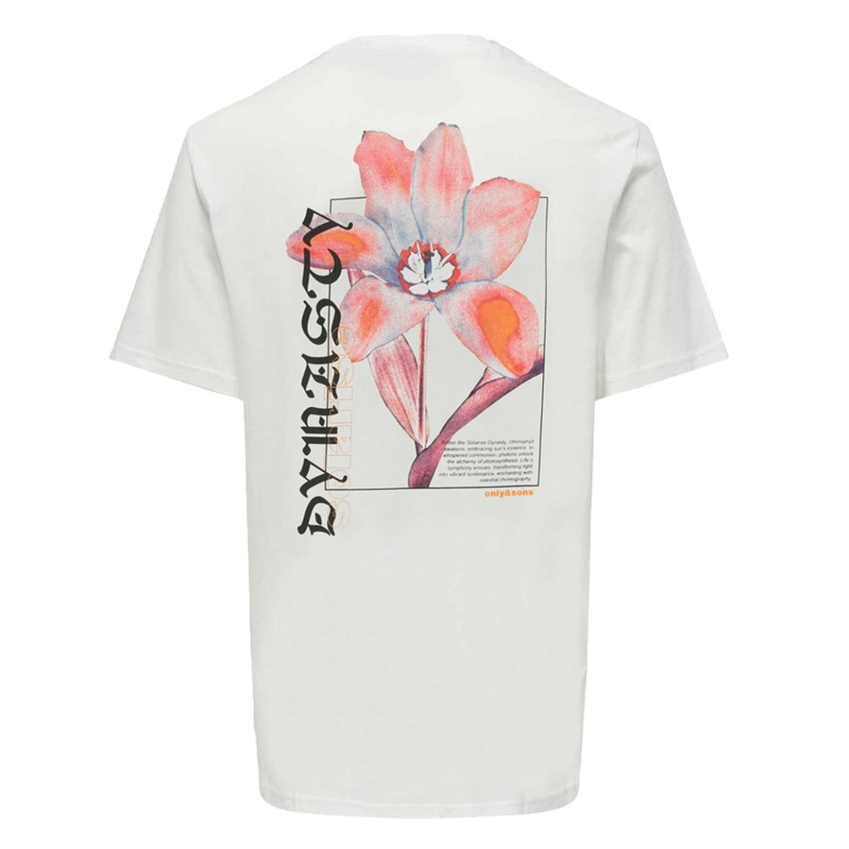 ONLY & Sons  Keane Relax Printed Tee