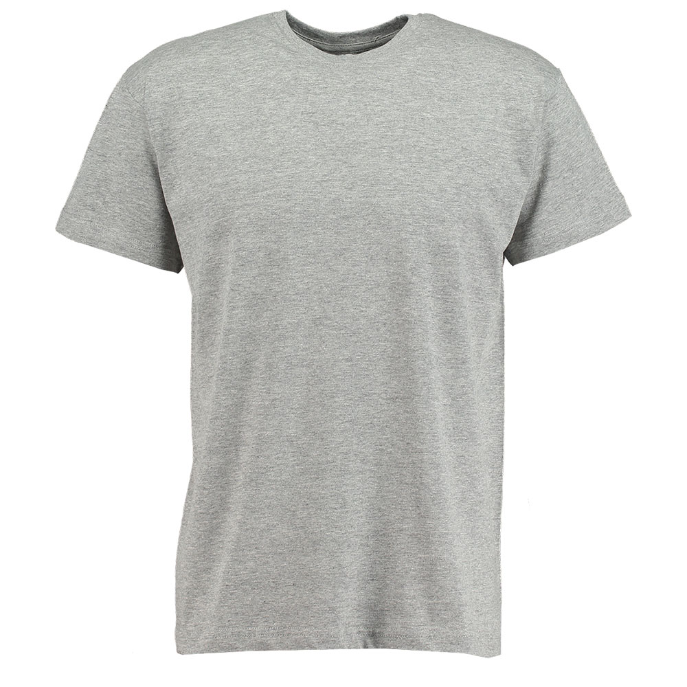 Heren T-shirt Regular Fit / Ronde hals Grijs kopen? Goed en goedkoop
