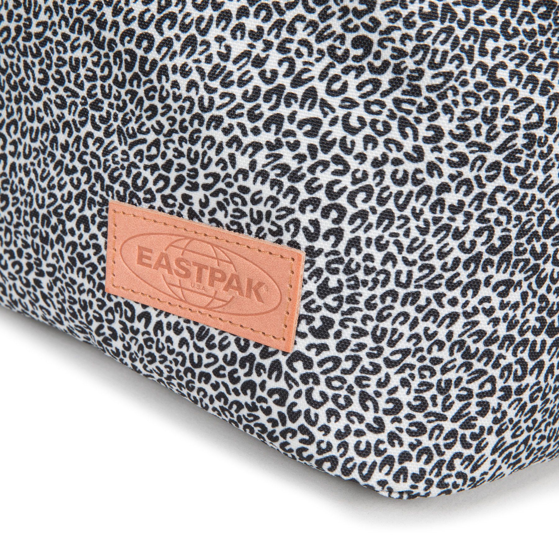 Casyl cheetah