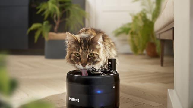Philips Pet Series vandfontænefilter PAW0010/01