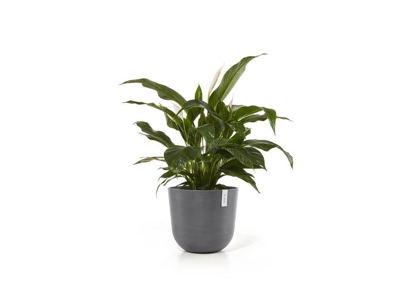 Ecopots Pflanzentopf Oslo 45 Grau Blumentopf