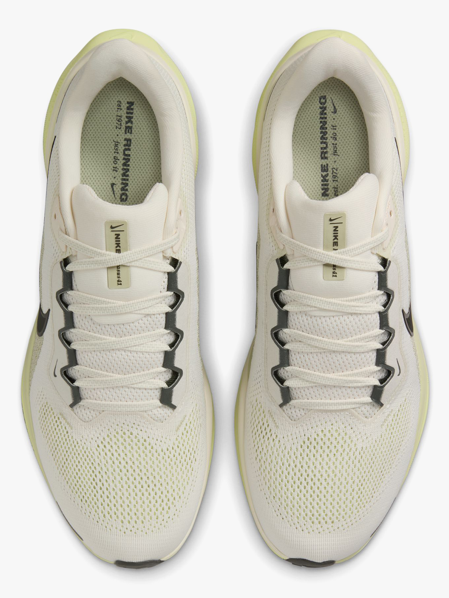 Pegasus 41