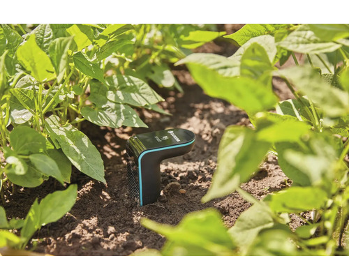 Slimme irrigatie GARDENA Control Sensor Set - Compatibel met SMART HOME van hornbach
