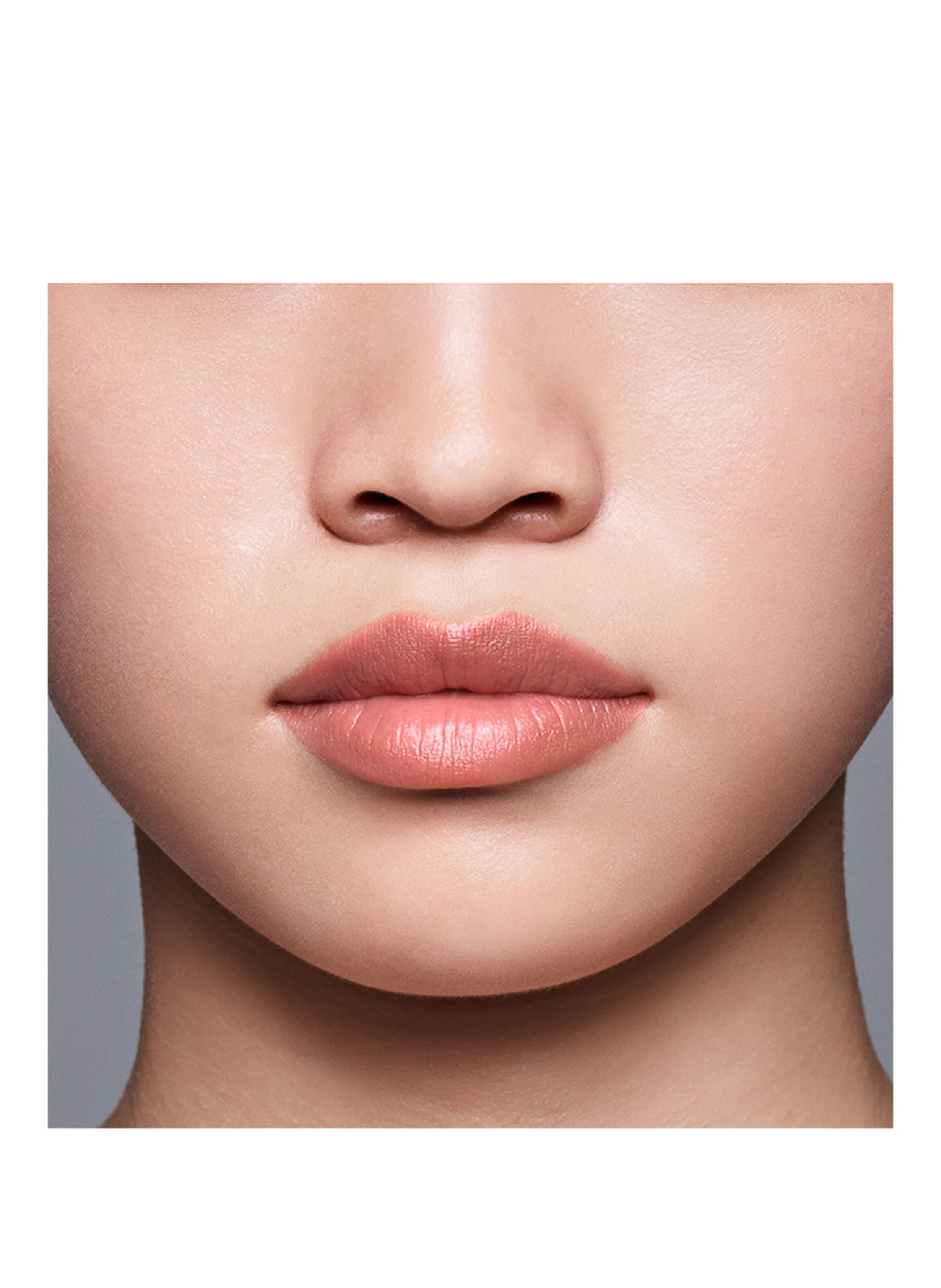 SHISEIDO LIPLINER INKDUO