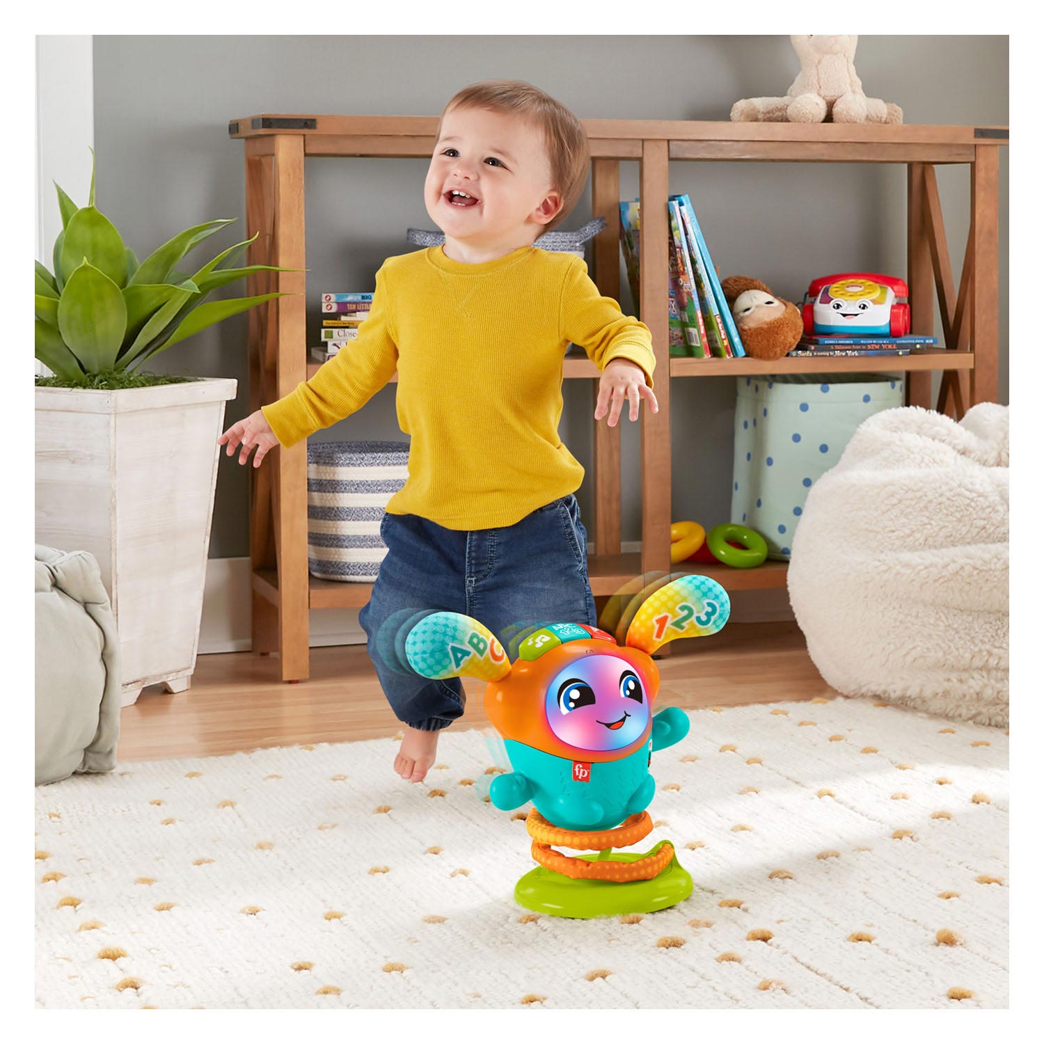 Fisher Price DJ Bouncin Beats