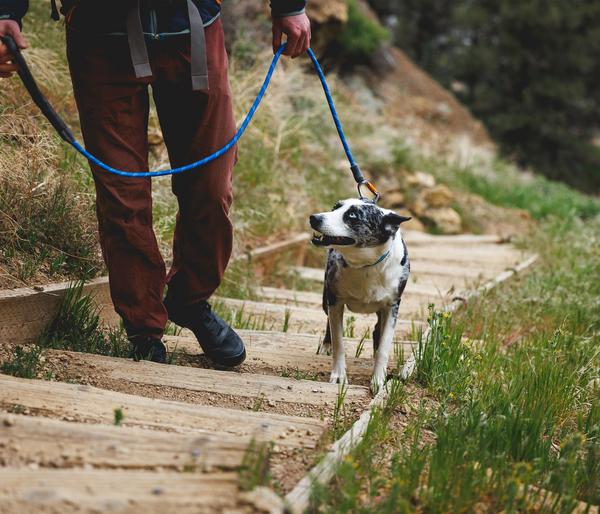 RUFFWEAR® Seil-Hundeleine Knot-a-Leash™,