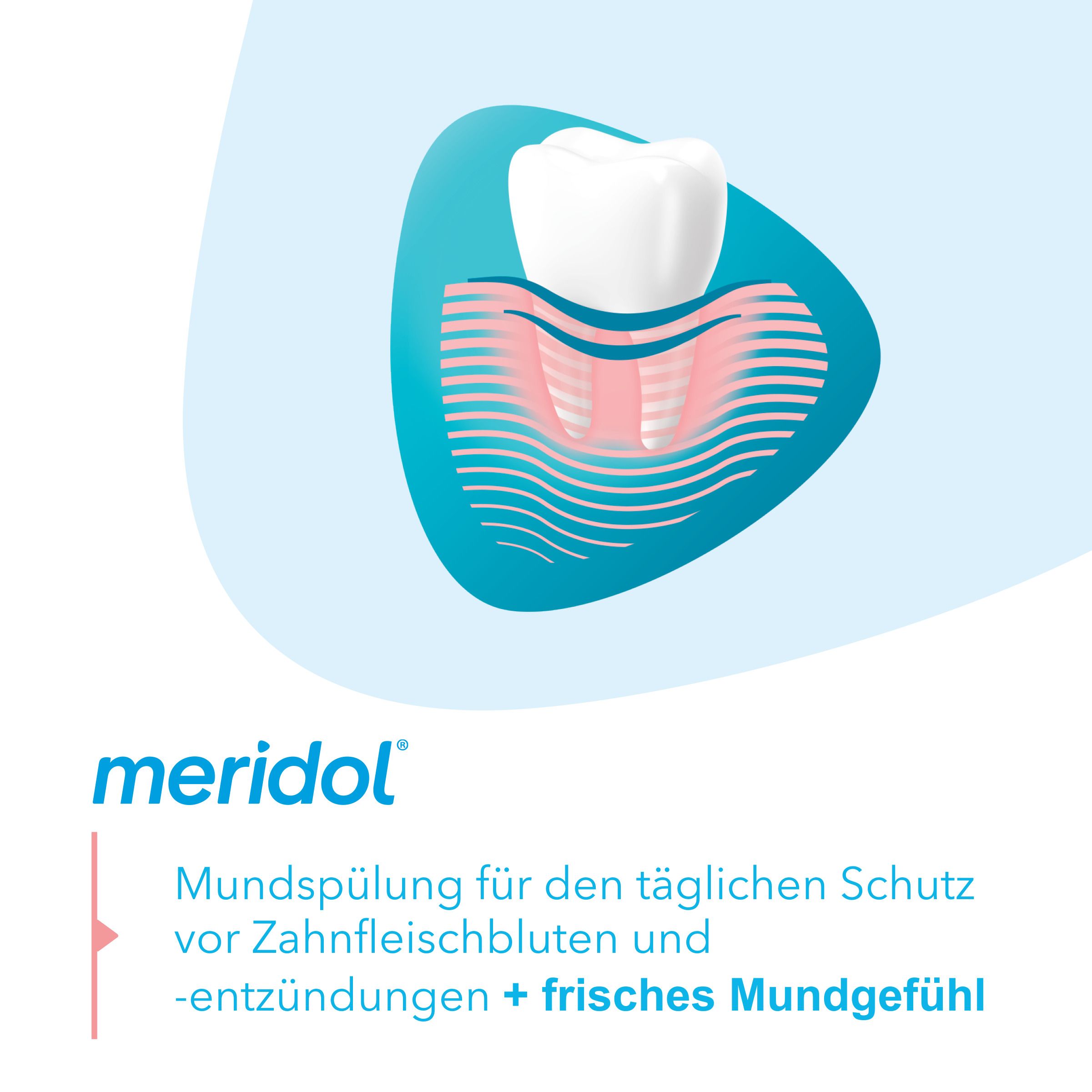 meridol Zahnfleischschutz antibakterielle Mundspülung