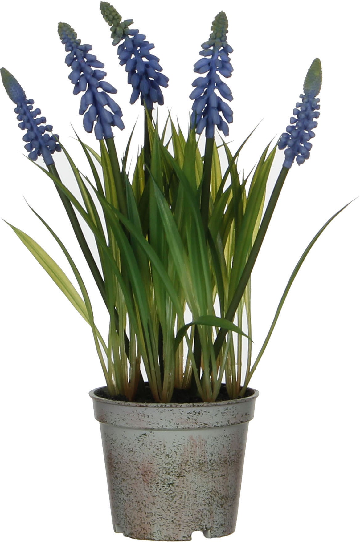 Mica Decorations kunstplant Blauw druifje 8,5 x 8,5 x 27 cm