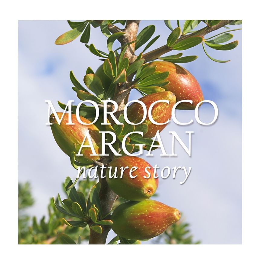NATURE REPUBLIC - Argan Essential Moist Hair Mist
