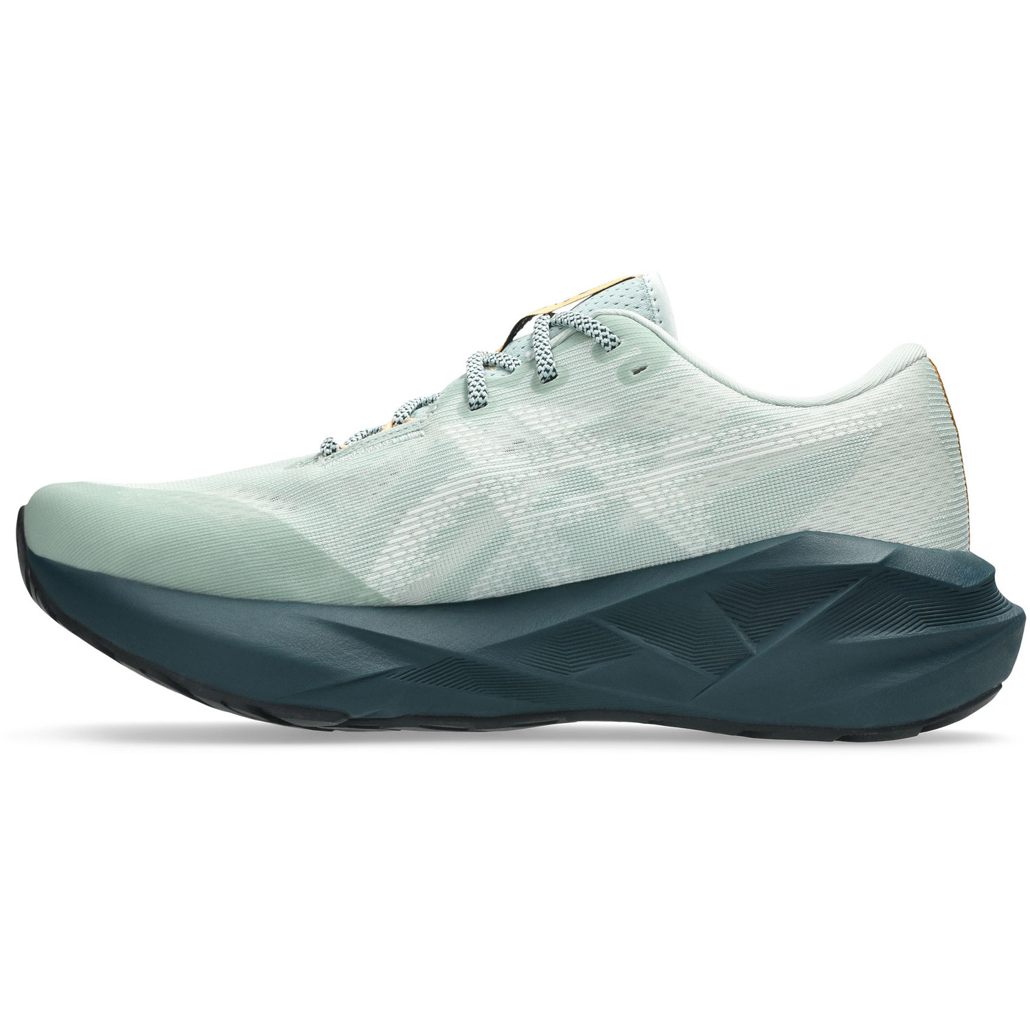 ASICS Novablast 5 TR Heren