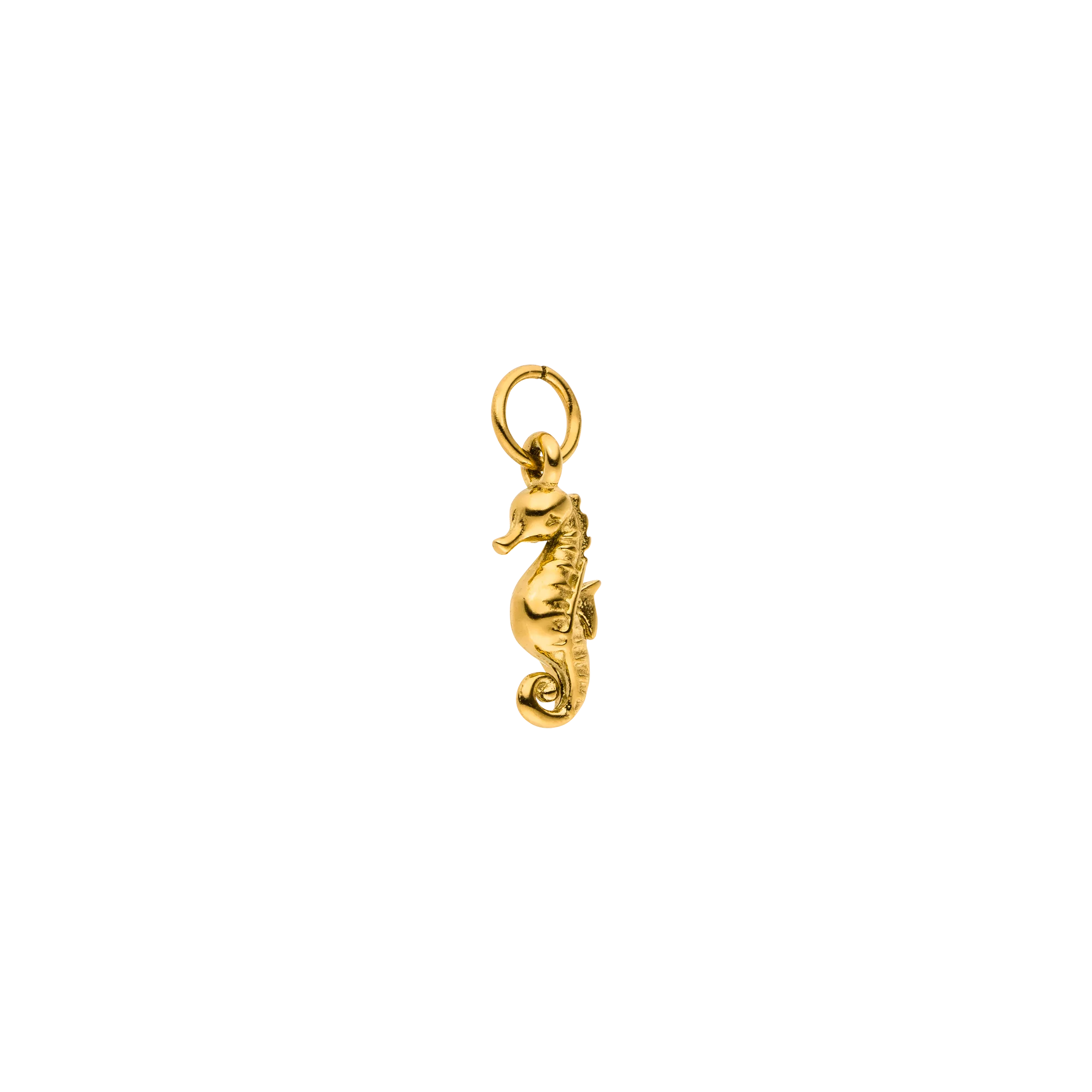Seahorse Charm