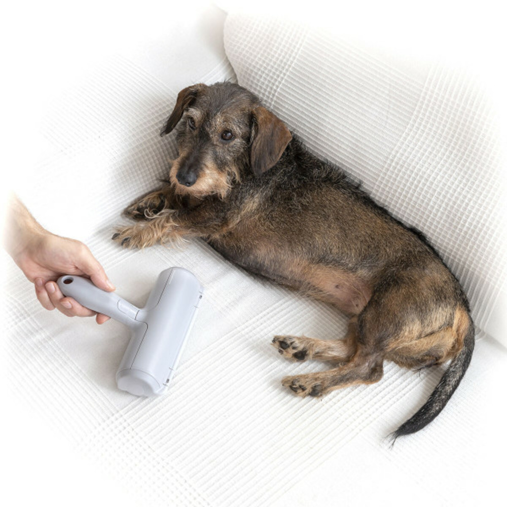 Rouleau anti-poil d'animaux rellair