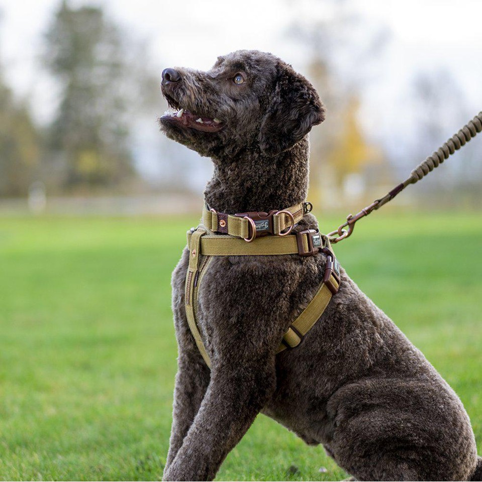 Ezydog - Harness Corduroy Xs 29-48Cm 3-6Kg - (605.0271)