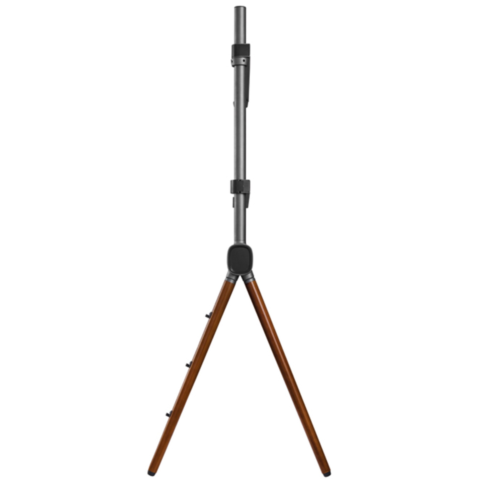 HAGOR Standsystem Elia Studio Shine Wood