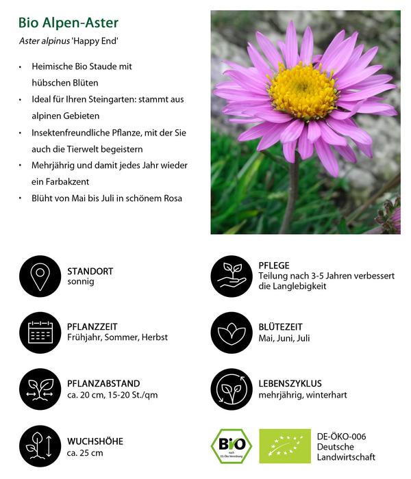 Bio Alpen-Aster 'Happy End'