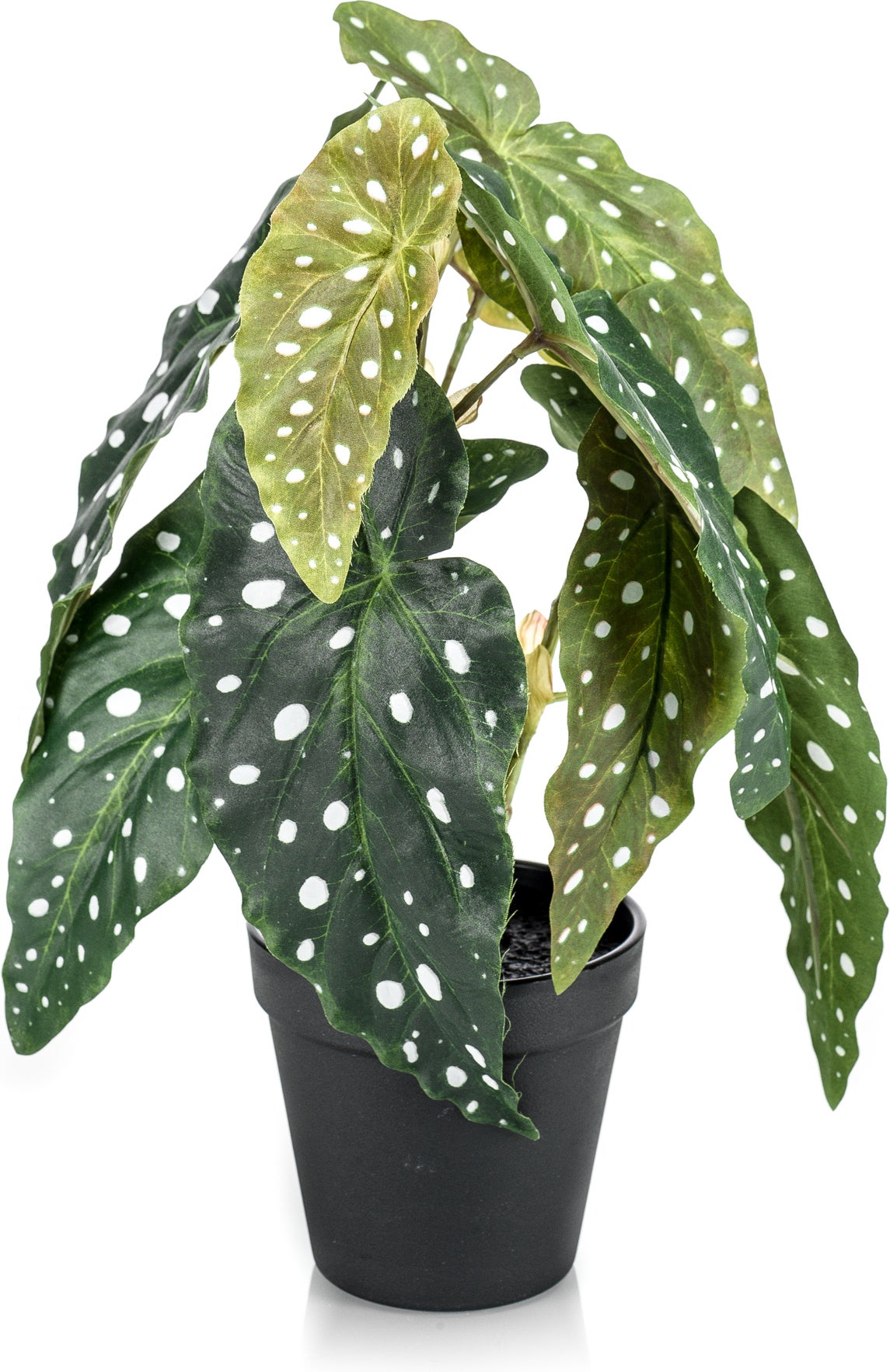 Emerald kunstplant Stippenbegonia groen 30 cm