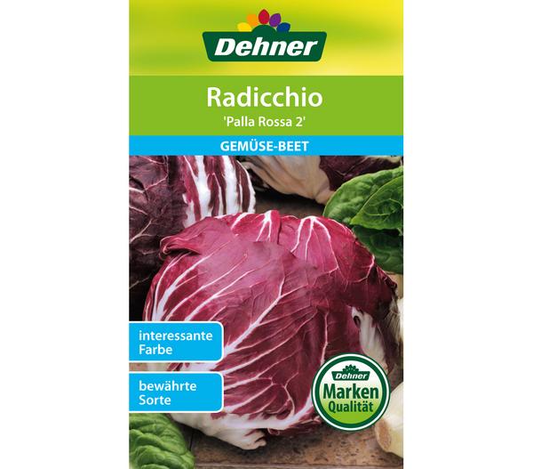 Dehner Samen Radicchio 'Palla Rossa 2'