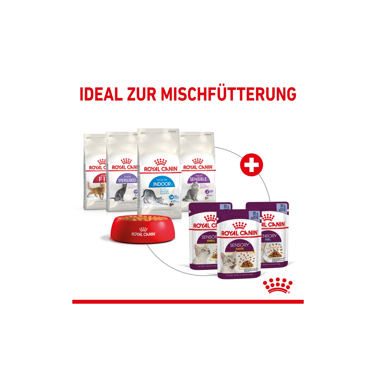 ROYAL CANIN SENSORY Feel in Gelee für wählerische Katzen 12x85g