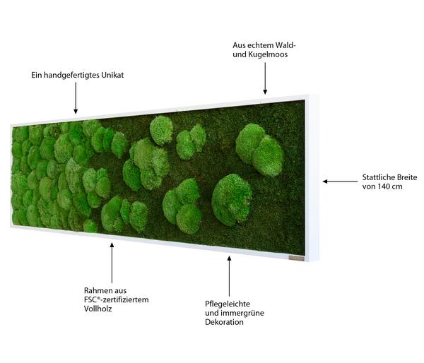styleGREEN Bild aus Wald- und Kugelmoos im