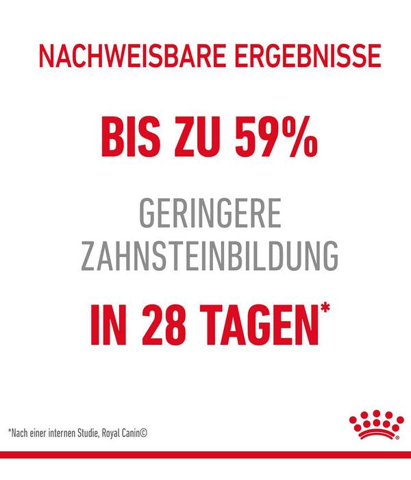 ROYAL CANIN® Trockenfutter für Katzen Dental