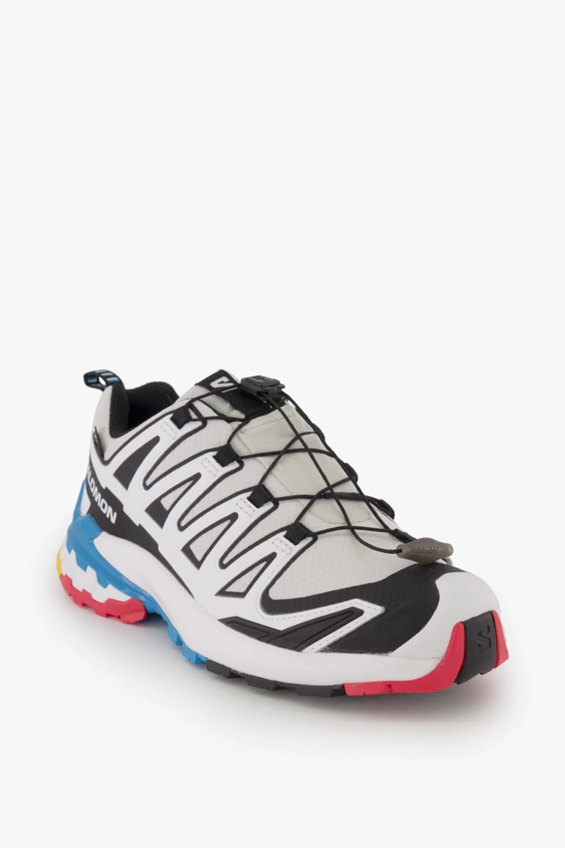 Salomon XA Pro 3D V9 Gore-Tex® Damen Trekkingschuh