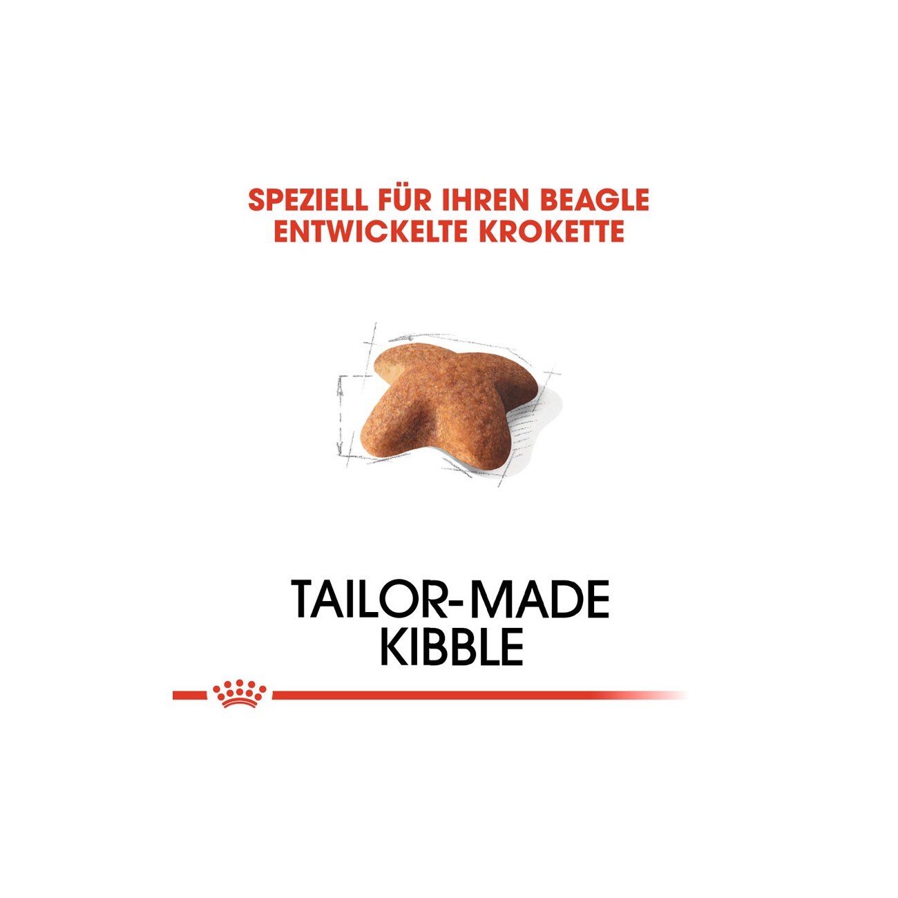 ROYAL CANIN Beagle Adult 3 kg