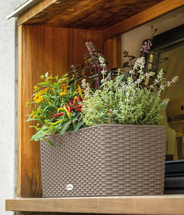 LECHUZA® Kunststoff-Kasten Balconera Cottage,
