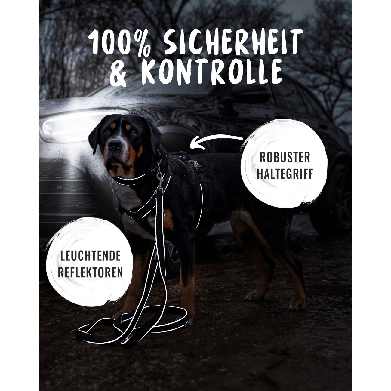 Rudelkönig Hundegeschirr - Gepolstertes Brustgeschirr schwarz S