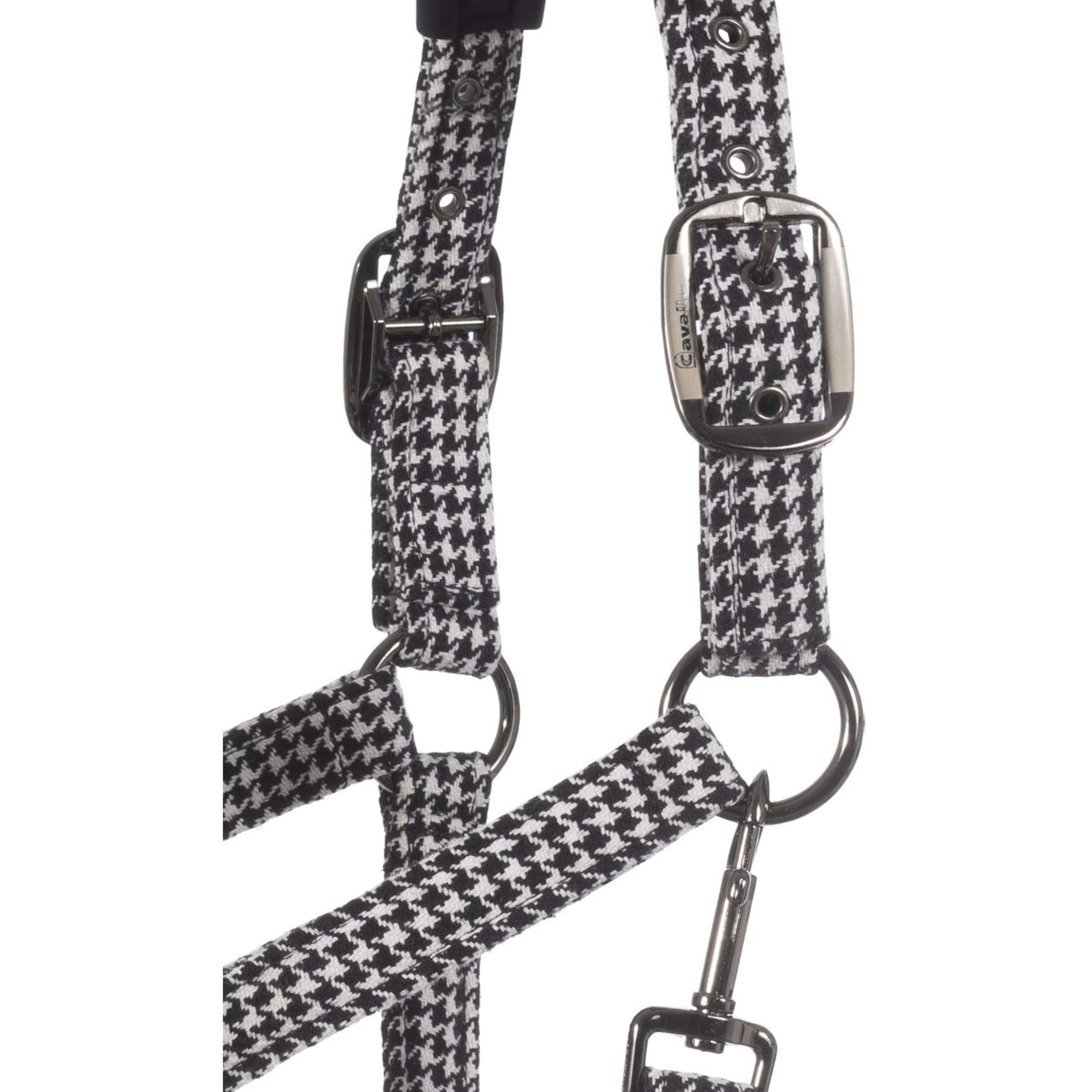 Cavallo Halster Cavalpeppy Zwart