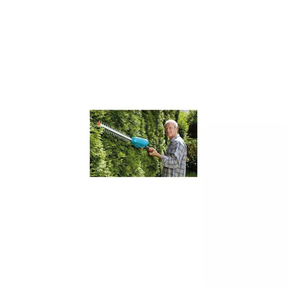 Taille haies sur perche ths42/18v p4a avec batterie