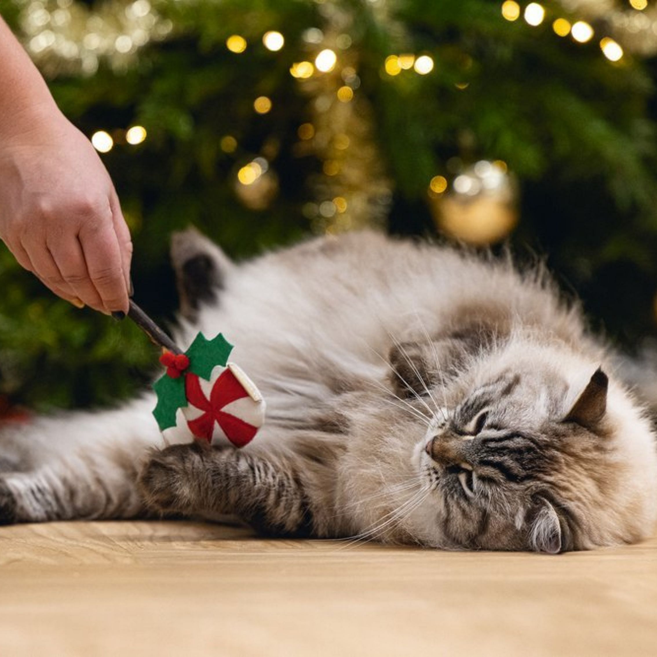 Beeztees Plush Matatabi Kerst Lolly Kat | 15156