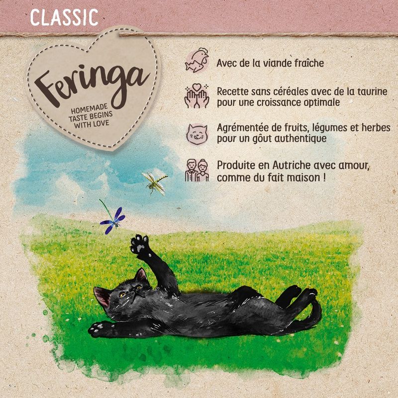Feringa Kitten, volaille