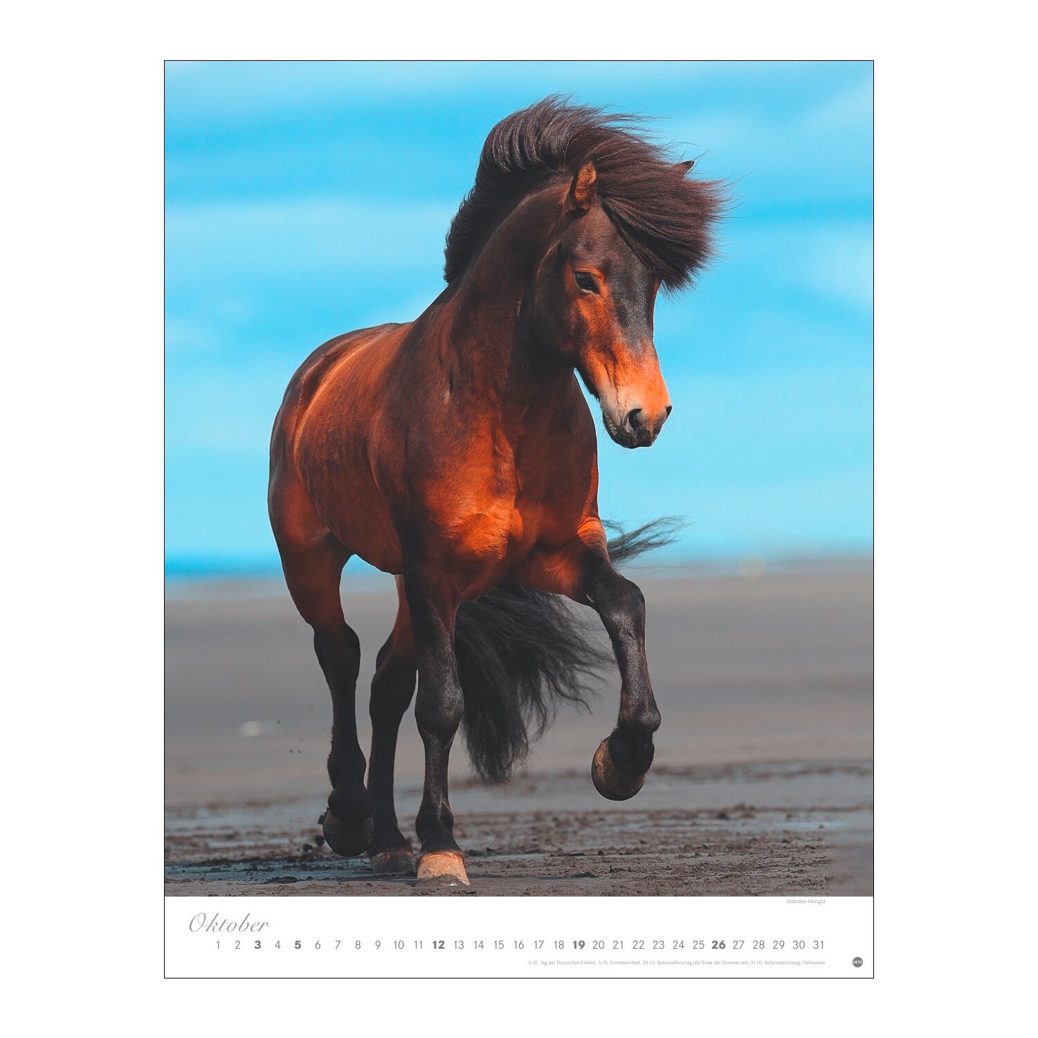 Posterkalender Pferde Classics 2025