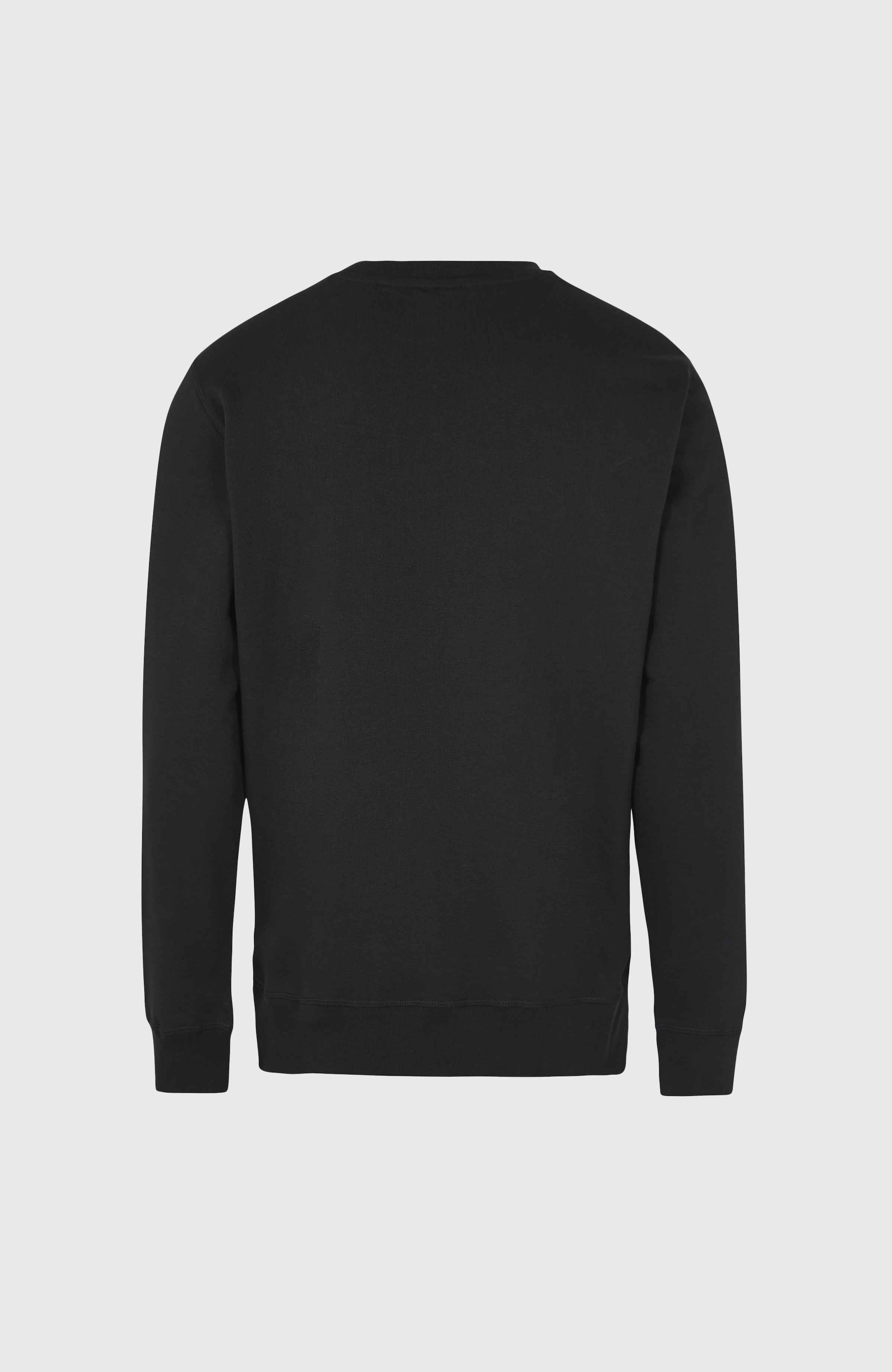 O'Neill Sweatshirt »Small Logo Crew Sweatshirt«
