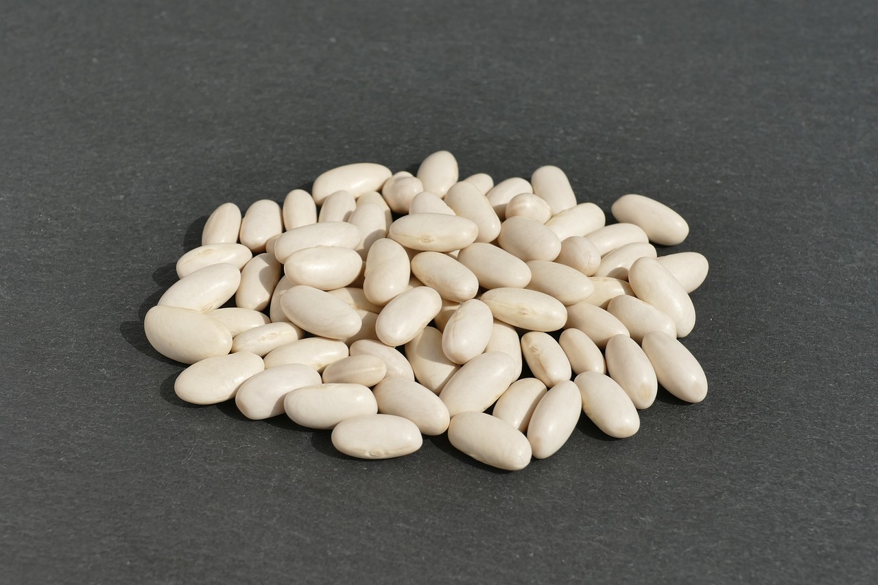 Sachet de graines de haricot nain a écosser coco blanc précoce - sachet de 200 grammes - made in france