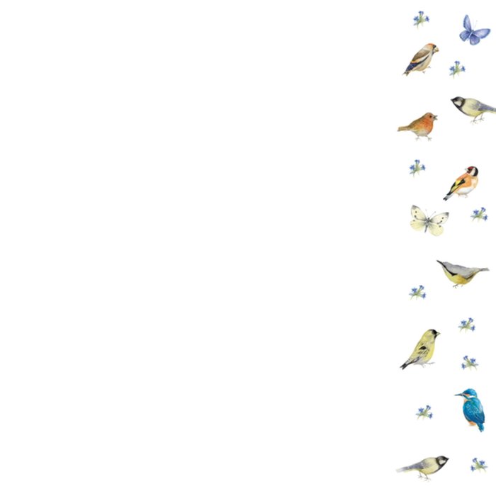 Verjaardagskaart | Janneke Brinkman | Vogels