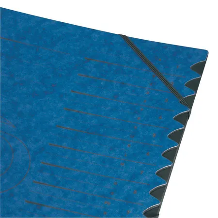 Herlitz Ordnungsmappe 1-12 blau Pappe