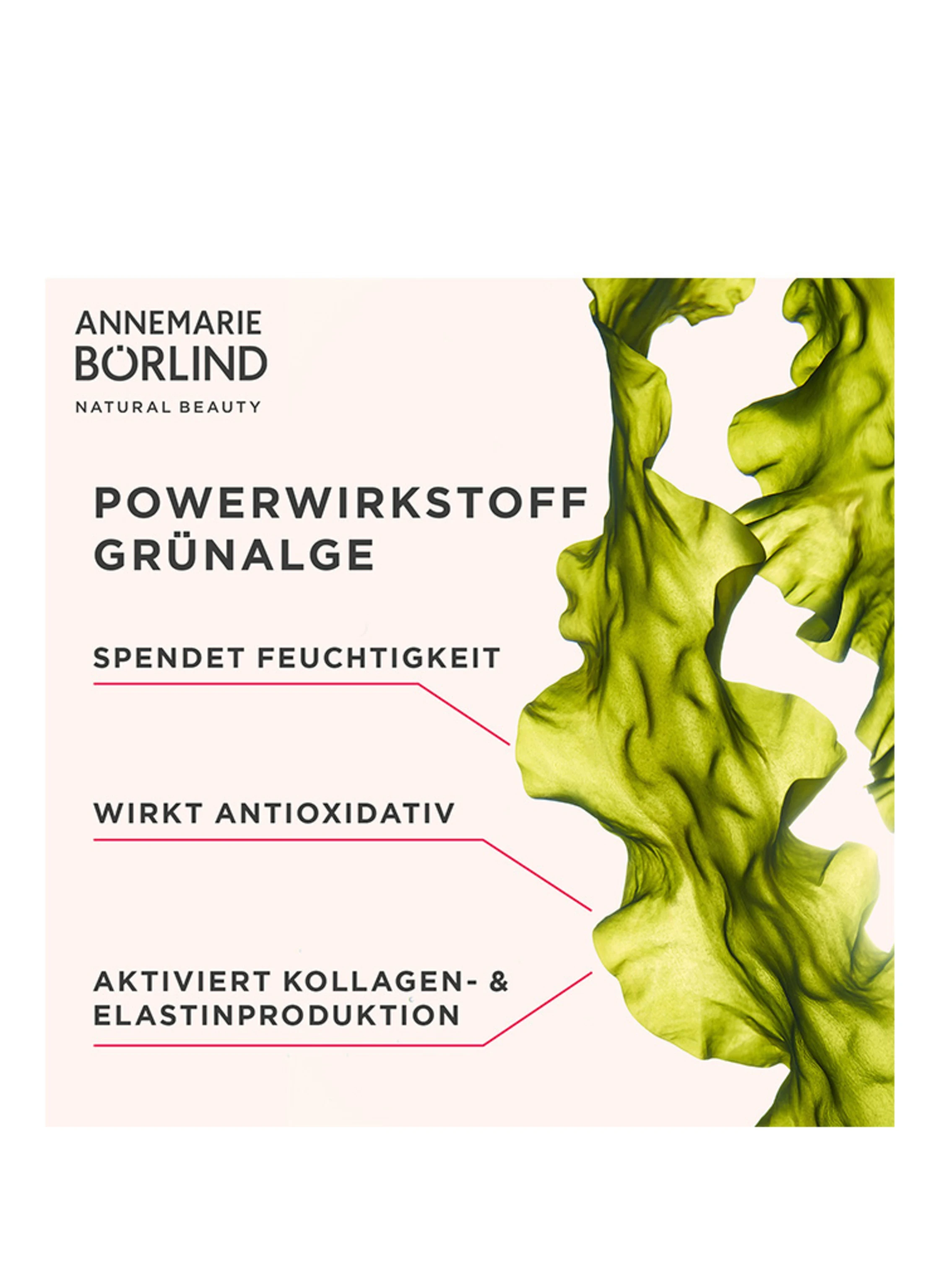ANNEMARIE BÖRLIND SYSTEM ABSOLUTE