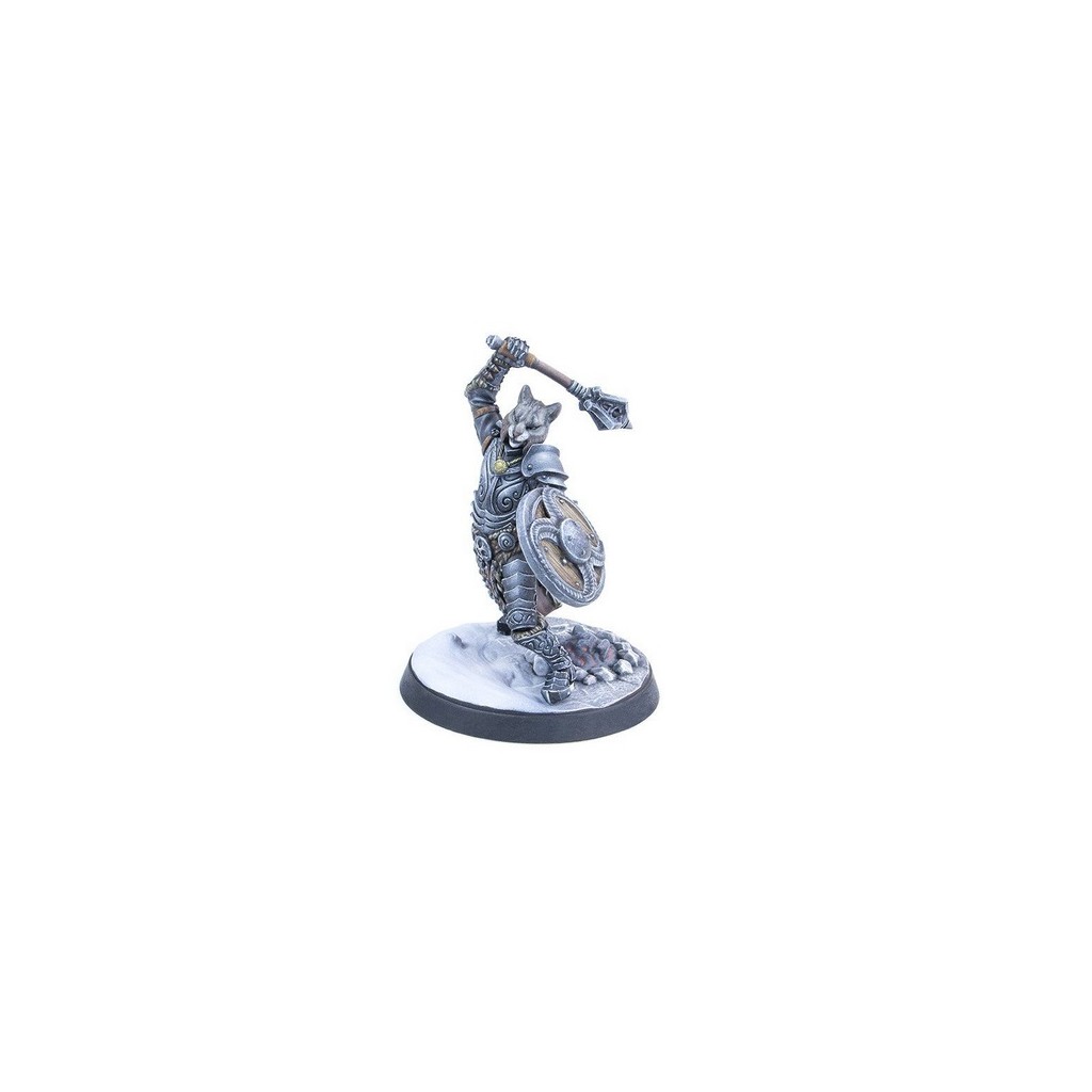 The Elder Scrolls: Call to Arms – Adventurer Allies