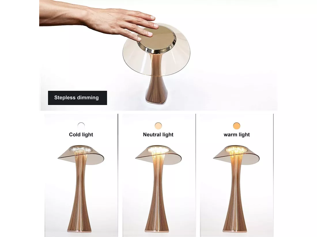 NETTLIFE Lampe de table LED tactile dimmable avec batterie lampe de chevet diurne avec USB