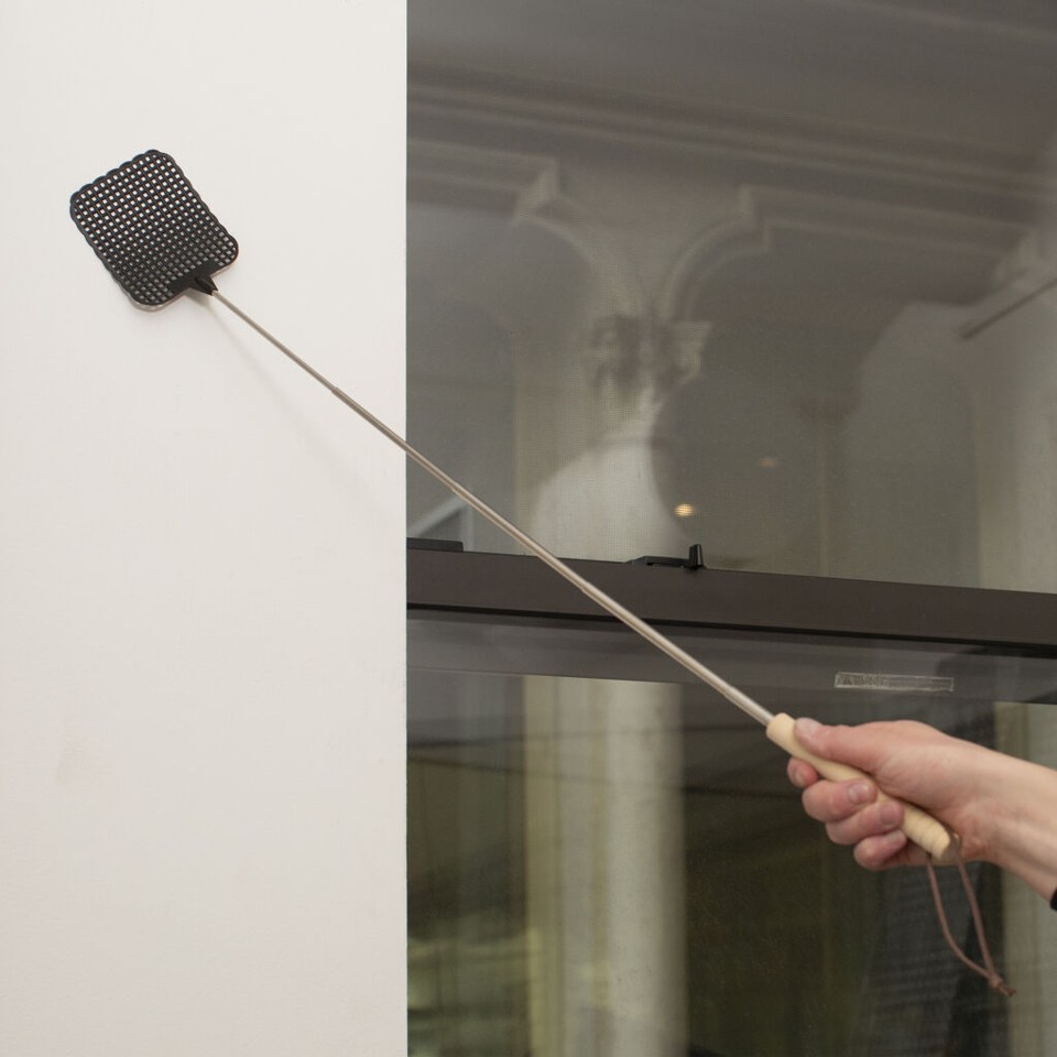 Extendable Fly Swatter Asst Bk/Gr