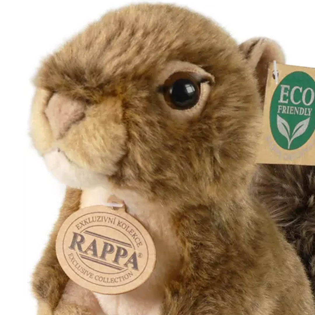 rappa knuffeleekhoorn met eikel - 20 cm