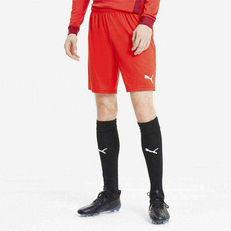 Puma Teamgoal 23 Knit shorts Rød