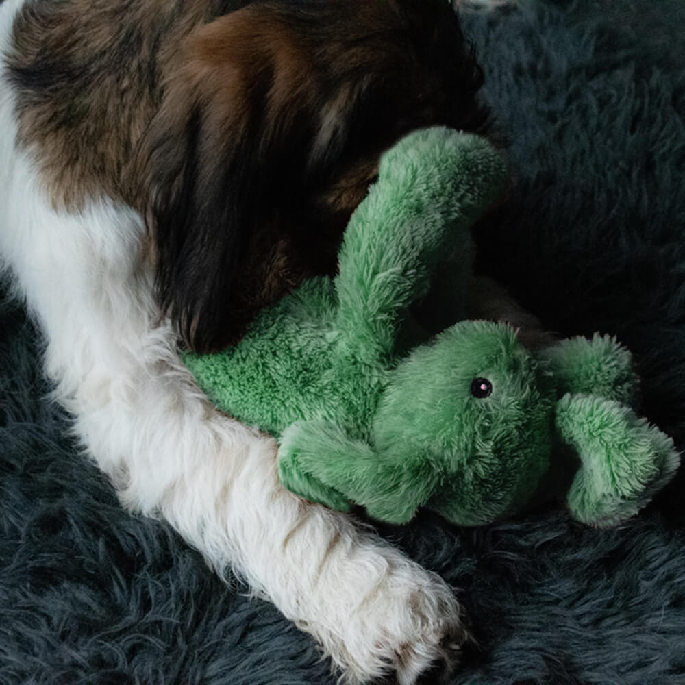 Cozy Dog Bunny